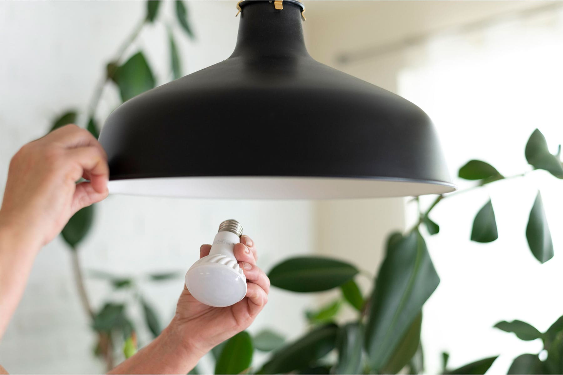close up hands changing lightbulb